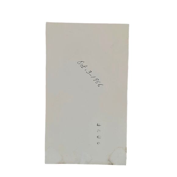 Vtg Man in Tall Tree Taking Down Fallen Branch Original Monochrome Photo Found - Picture 4 of 4